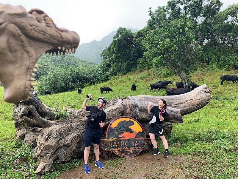 Oahu tropical waterfall