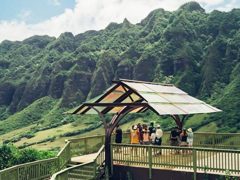 How to Plan a Stress-Free Vacation in Hawaii with Curated Tour Packages