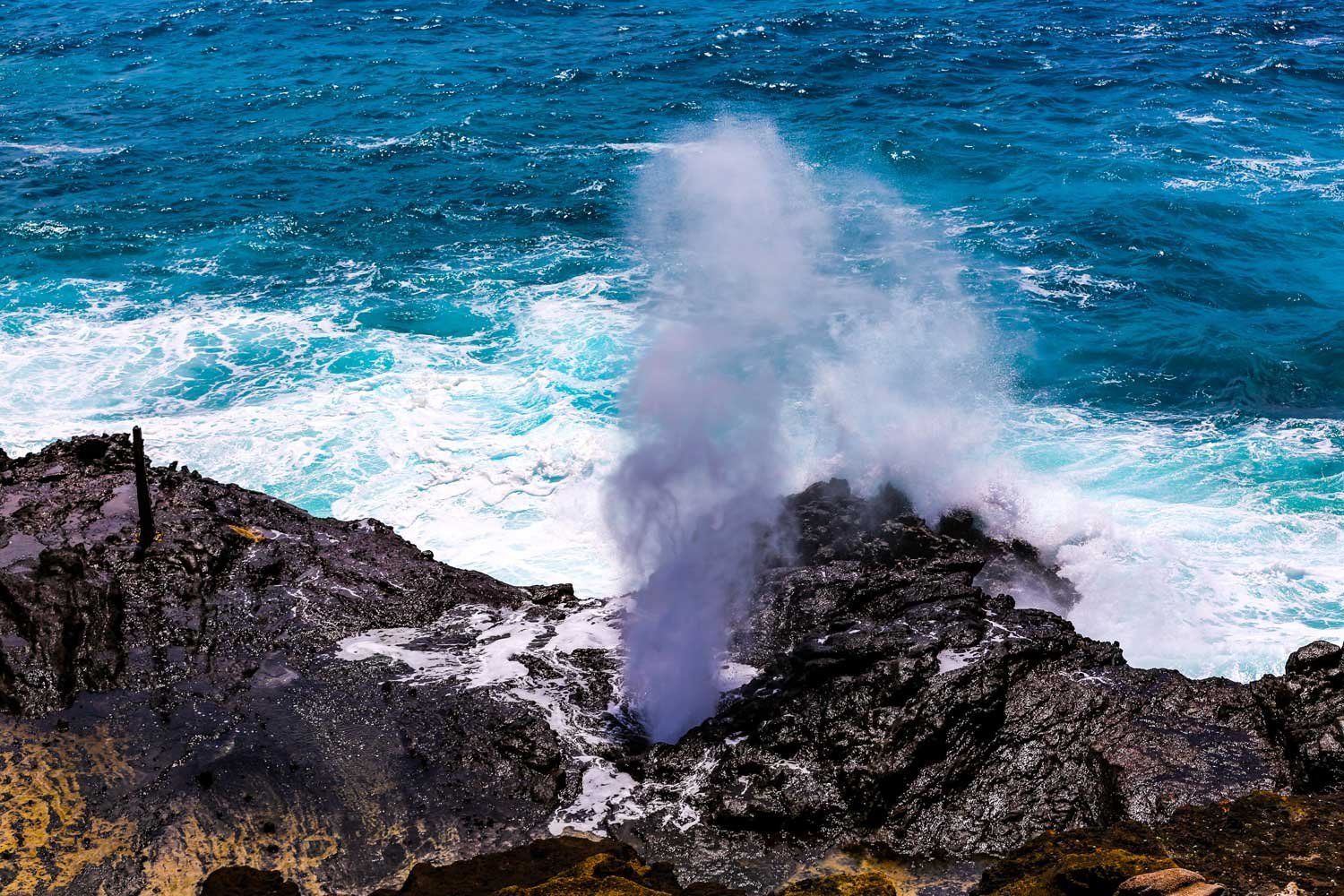Halona Blowhole shooting water East Oahu