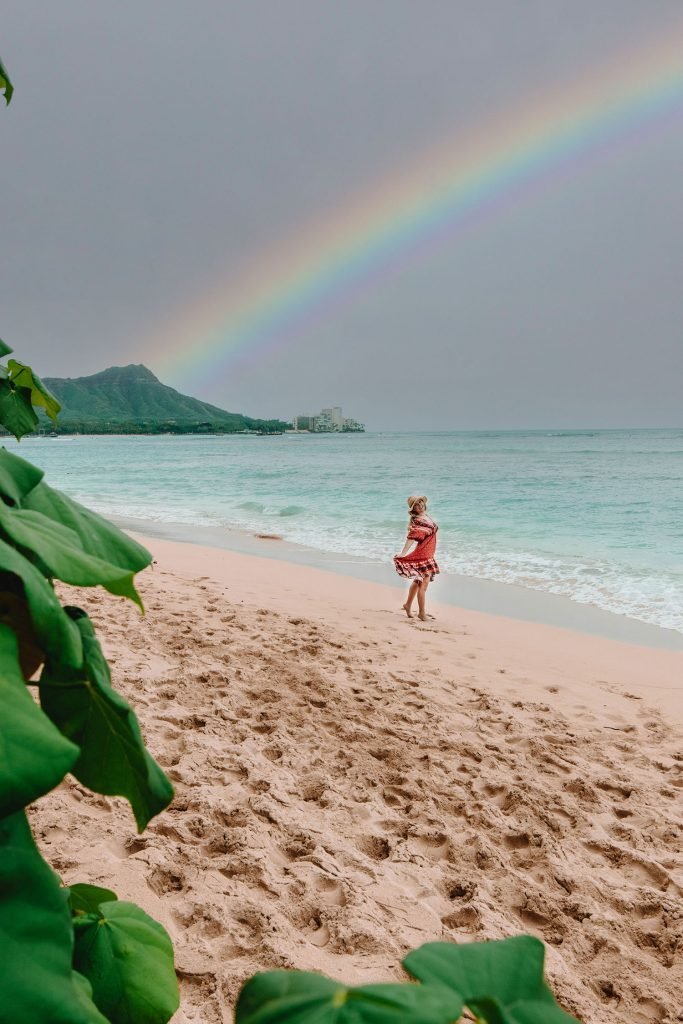 Why You Should Book Your Oahu Tours with Aloha Fantasy Tours for Hawaii Tours