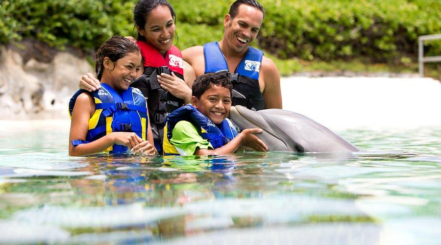 North Shore Pipeline surf Oahu