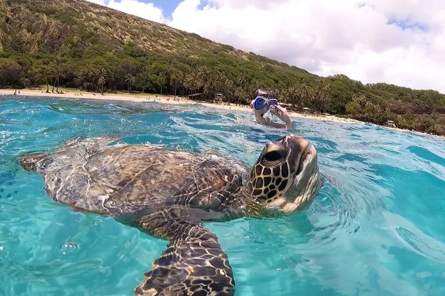 aloha-best-scenes-in-oahu
