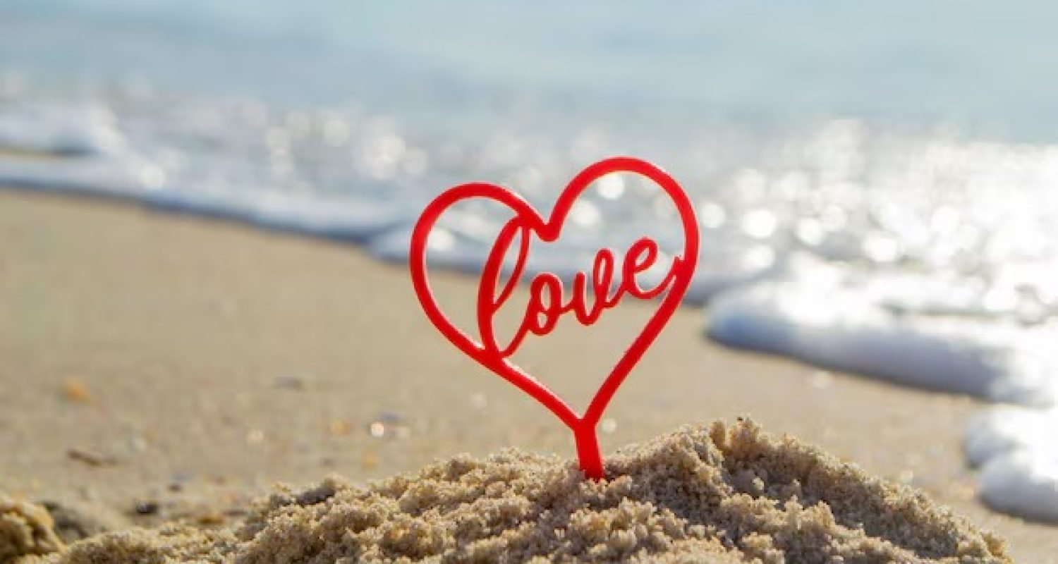 WhatsApp Image 2026-01-31 at 5.48.57 PM