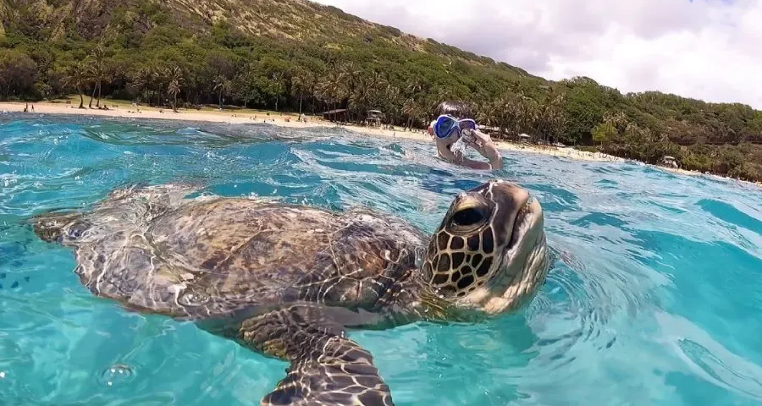 aloha-best-scenes-in-oahu